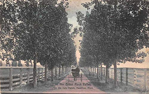 Algopix Similar Product 3 - Hamilton Montana Daly Ranch Bitter Root