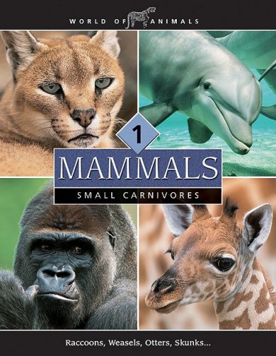 Mammals (World of Animals (Danbury, Conn.).) by Amy-Jane Beer