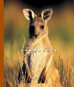 Kangaroos (World of Mammals (Childs World))