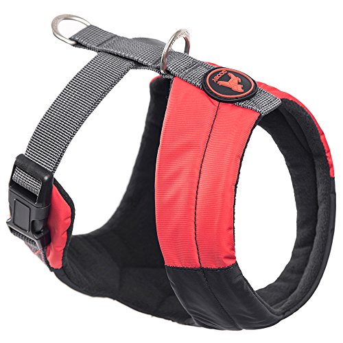 Algopix Similar Product 8 - 