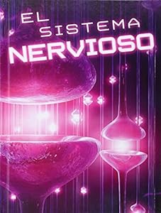 El Sistema Nervioso