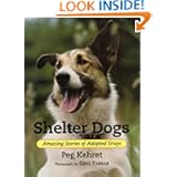 Shelter Dogs