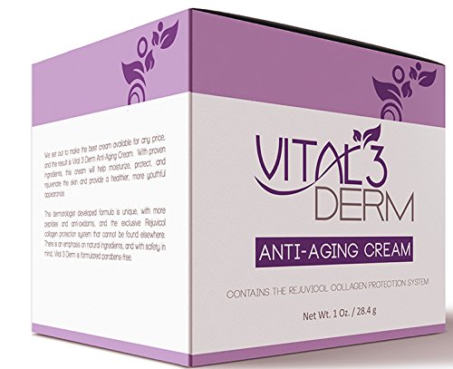 Algopix Similar Product 2 - 