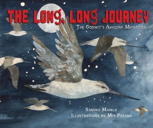 The Long, Long Journey: The Godwit's Amazing Migration (Millbrook Picture Books)