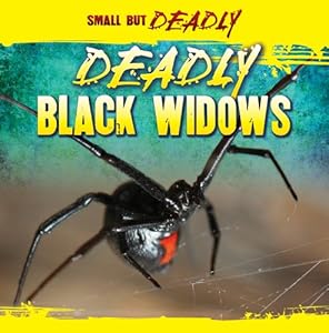 Deadly Black Widows (Small But Deadly)