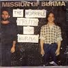 The Horrible Truth About Burma