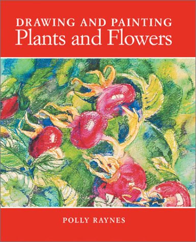 Drawing and Painting Plants and Flowers by Polly Raynes