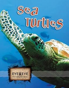 Sea Turtles