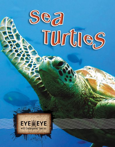 Sea Turtles by Cindy Rodriguez