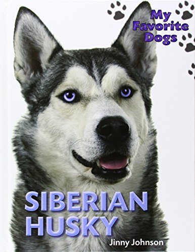 Siberian Husky by Jinny Johnson