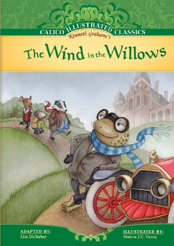 The Wind in the Willows (Calico Illustrated Classics) by Lisa Mullarkey
