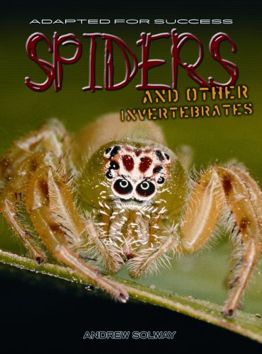 Spiders and Other Invertebrates (Adapted for Success) by Andrew Solway