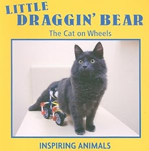 Little Draggin' Bear