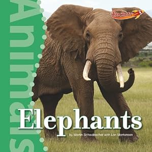 Elephants