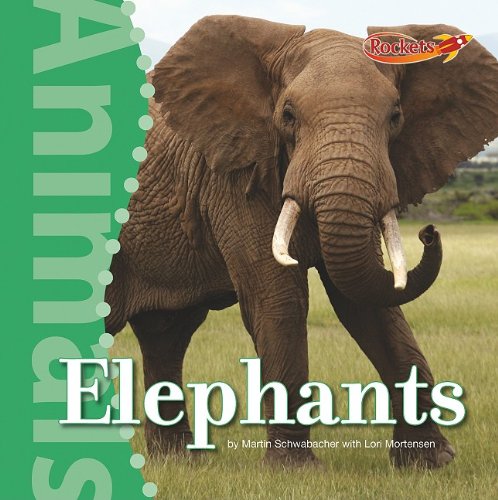 Elephants by Martin Schwabacher