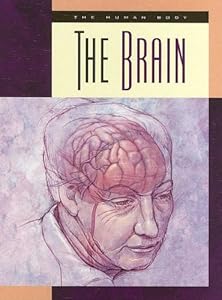 The Brain (Human Body (Child's World))