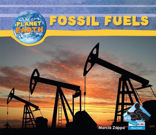 Fossil fuels by Marcia Zappa