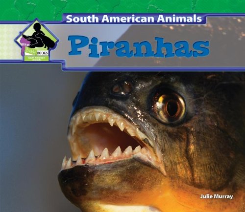 Piranhas by Julie Murray