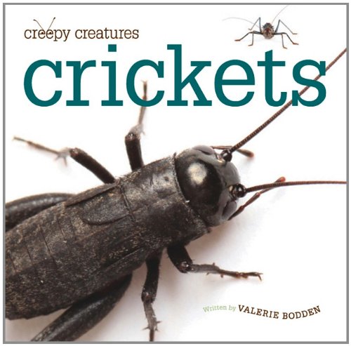 Crickets by Valerie Bodden