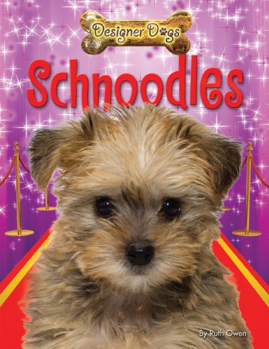 Schnoodles by Ruth Owen