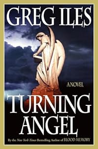 Turning Angel: A Novel