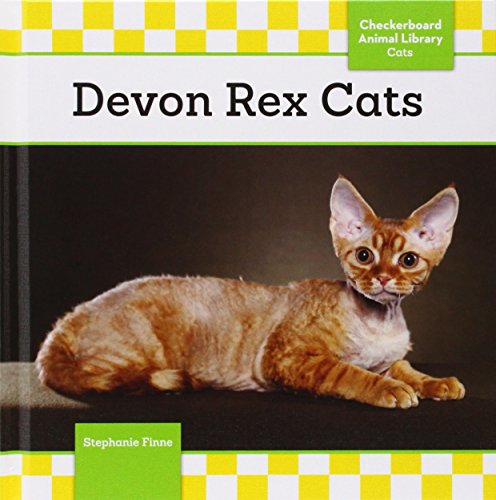 Devon Rex Cats by Stephanie Finne