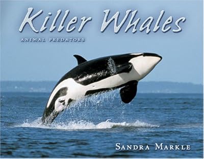 Killer Whales (Animal Predators)