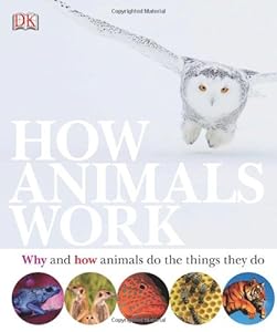How Animals Work