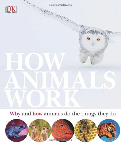 How Animals Work by David Burnie