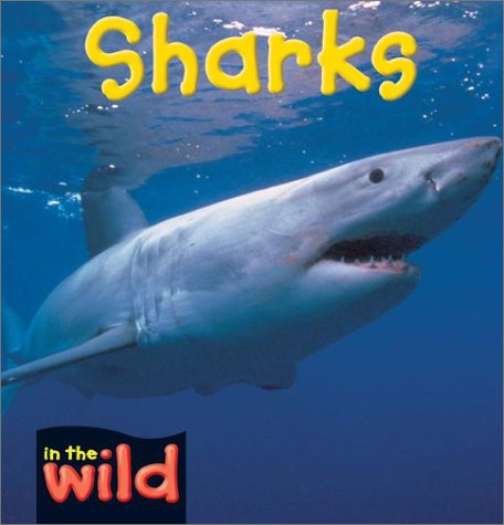 Sharks (In the Wild) by Patricia Kendell