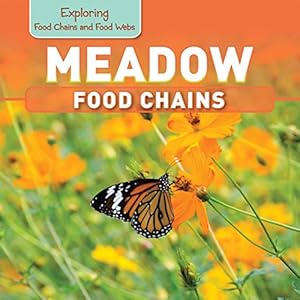 Meadow Food Chains
