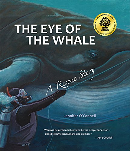 The Eye of the Whale by Jennifer O'Connell