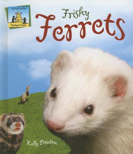 Frisky Ferrets (Perfect Pets) by Kelly Doudna