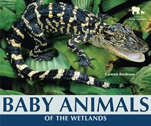 Baby Animals of the Wetlands