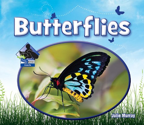 Butterflies by Julie Murray