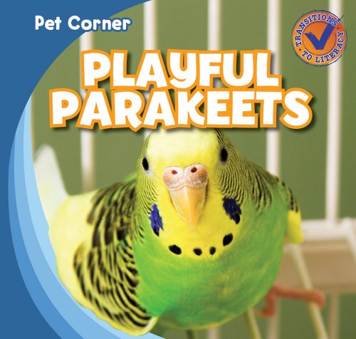 Playful Parakeets by Katie Kawa