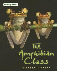 The Amphibian Class