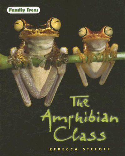 The Amphibian Class by Rebecca Stefoff