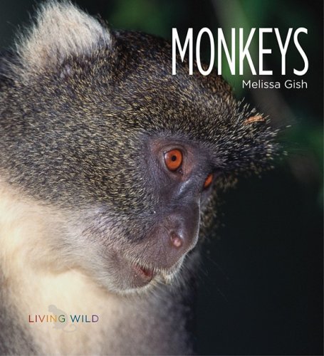 Monkeys by Melissa Gish