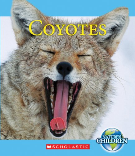 Coyotes by Jennifer Zeiger