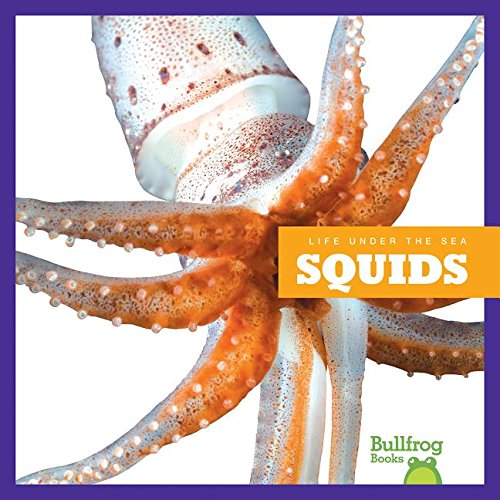 Squids by Mari Schuh