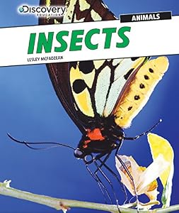 Insects by Lesley Mcfadzean