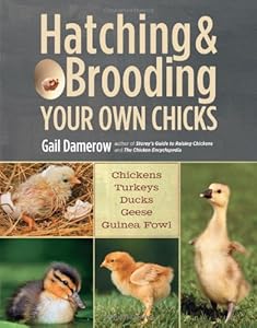 Hatching &amp; Brooding Your Own Chicks: Chickens, Turkeys, Ducks, Geese, Guinea Fowl by Gail Damerow