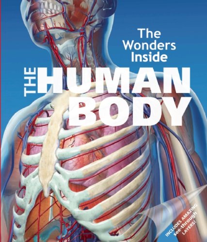 The Human Body by Jan Stradling
