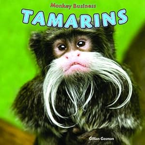 Tamarins