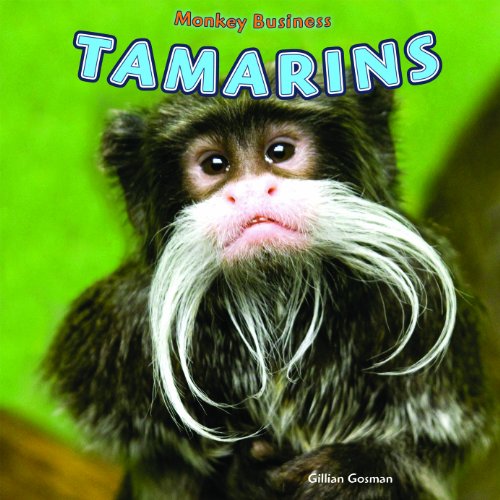Tamarins by Gillian Gosman