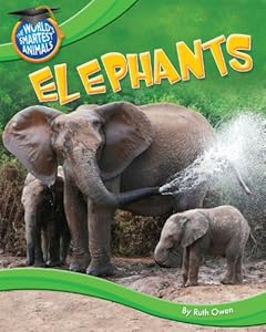 Elephants