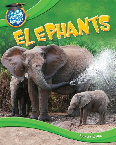 Elephants by Ruth Owen