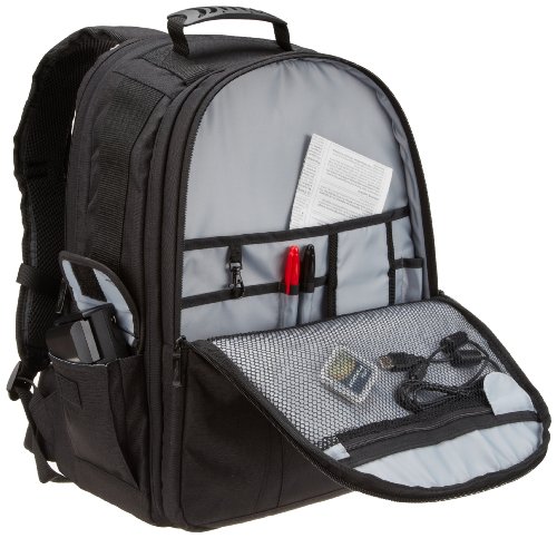 AmazonBasics Rucksack für DSLRs / Laptops: Amazon.de: Kamera - siteface ...