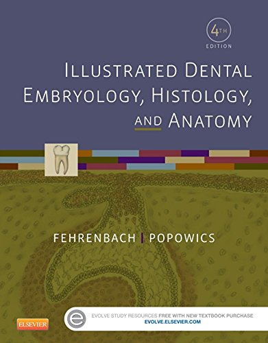 Illustrated Dental Embryology, Histology, and Anatomy - E-Book by Margaret J. Fehrenbach